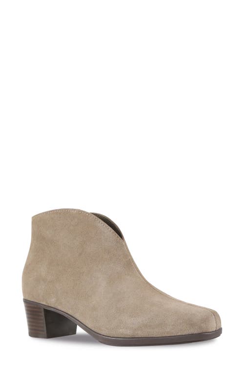 Shop Munro Shelly Bootie In Almond Suede