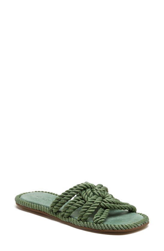 Kelsi Dagger Brooklyn Rope Sandals In Moss