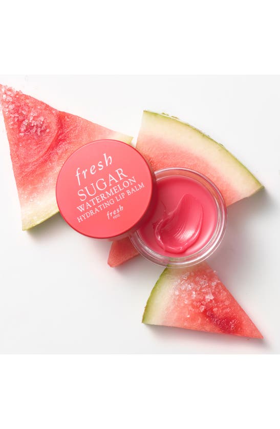 Shop Fresh Lip Sugar Hydrating Lip Balm In Watermelon