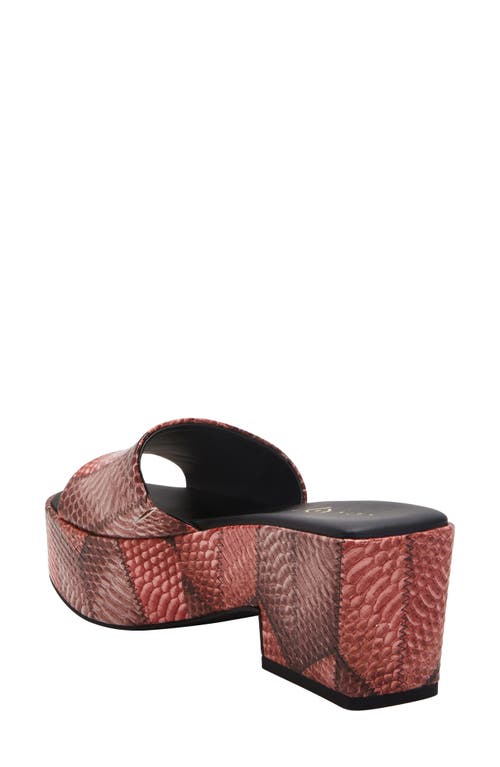 Katy Perry The Busy Bee Platform Slide Sandal In Ginger Multi