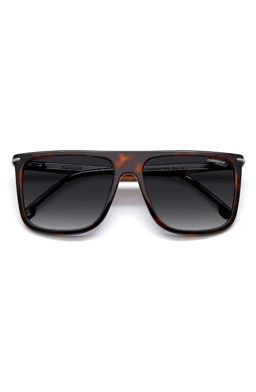 Carrera Eyewear Gradient Oversize Rectangular Sunglasses in Havana /Grey Shaded