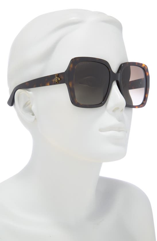 GUCCI GUCCI CORE 54MM SQUARE SUNGLASSES