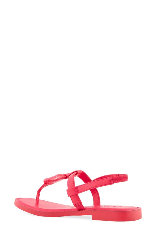 AEROSOLES AEROSOLES CARMINE T-STRAP SANDAL 