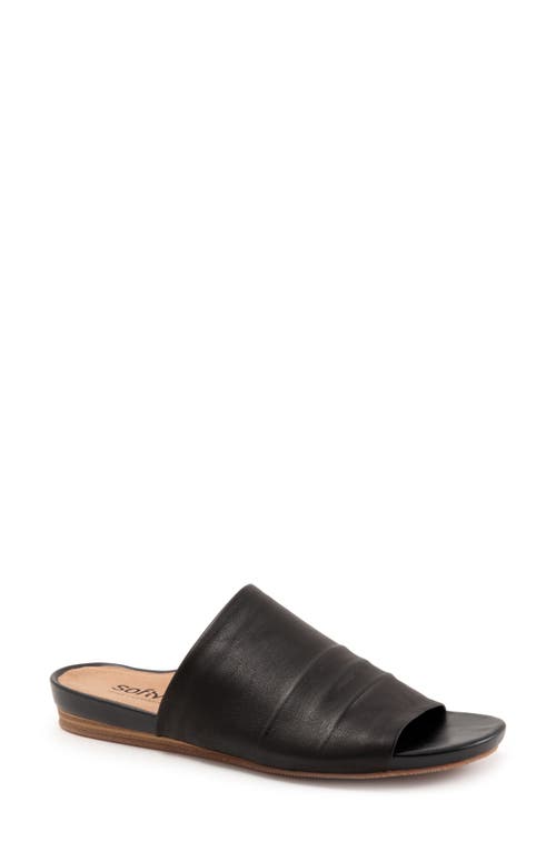 Softwalk Camano Womens Padded Insole Leather Slide Sandals In Black