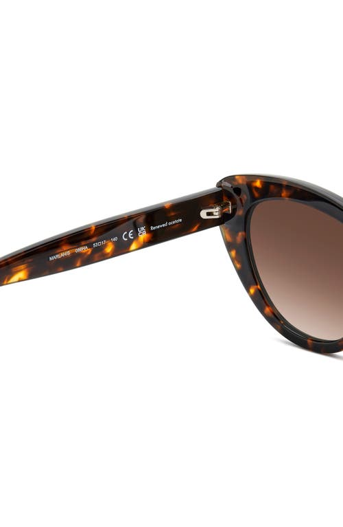 Shop Kate Spade New York Marlah's 53mm Gradient Cat Eye Sunglasses In Havana/brown Gradient