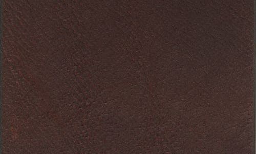 Rag & Bone Women's Rebound Texture Belt In Dark Espresso