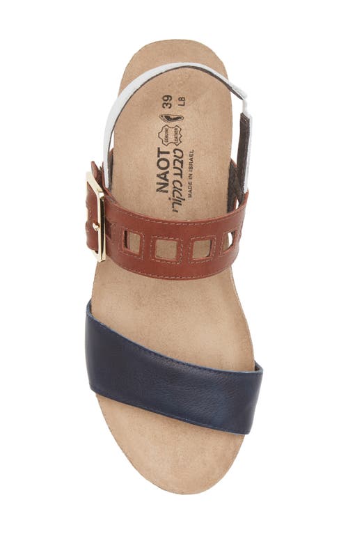 Shop Naot Dynasty Wedge Sandal In Ink/soft Chestnut/white