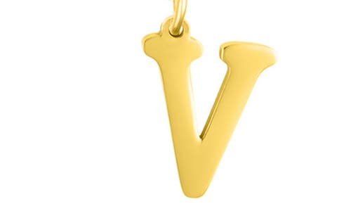 Adornia Initial Layered Necklace In Multi-v