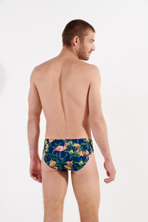 Shop Hom Flamingo Mini Brief In Navy Print