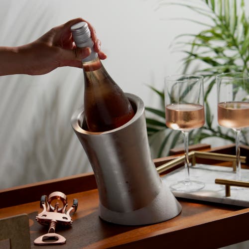 Viski Harrison Convex Bottle Chiller In Silver