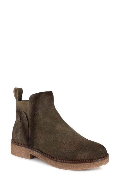 Shop National Comfort Evita Bootie In Mocha Suede