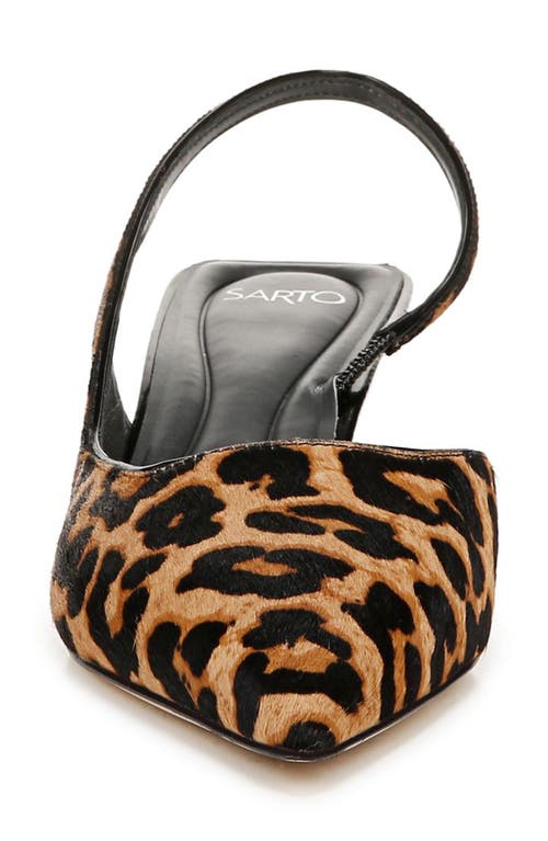 Shop Sarto By Franco Sarto Devin Slingback Half D'orsay Pointed Toe Kitten Heel Pump In Brown