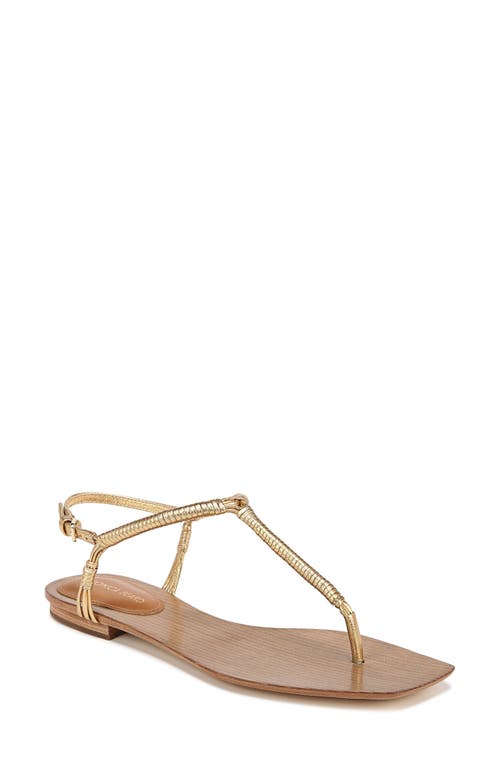 Amelia Ankle Strap Sandal in Gold