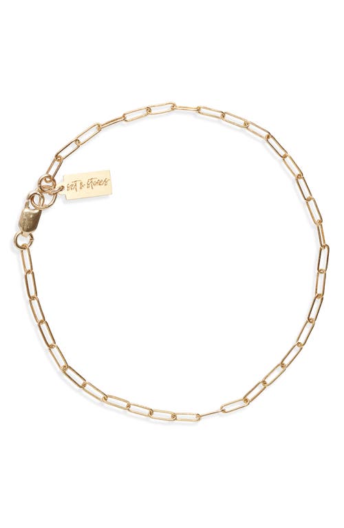 Set & Stones Porter Paper Clip Chain Bracelet in Gold at Nordstrom, Size 7