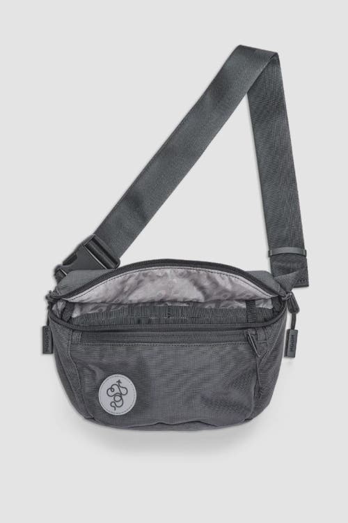 Shop Baboon To The Moon Fannypack 3l In Grey