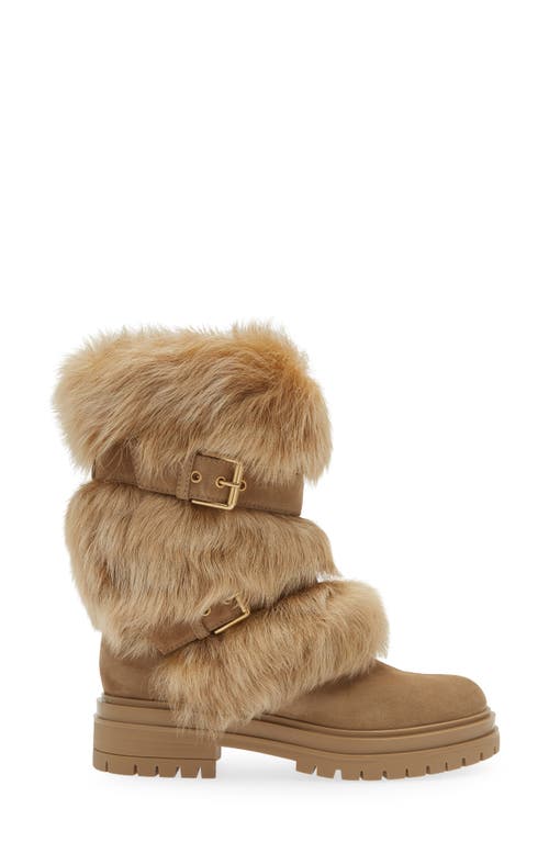 Shop Gianvito Rossi Genuine Shearling Boot In Camel/desert