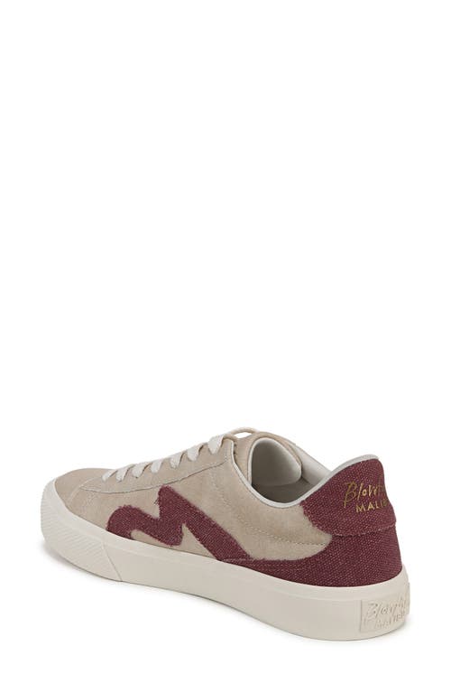Blowfish Footwear Vice Low Top Sneaker In Beige Faux Leather/red Canvas