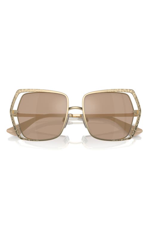 Dolce & Gabbana Dolce&gabbana 55mm Butterfly Sunglasses In Pale Gold