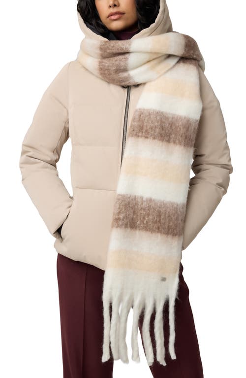 Soia & Kyo Oversize Fringe Scarf In Hush