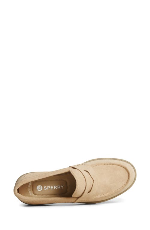 Shop Sperry Top-sider® Wells Penny Loafer In Sand