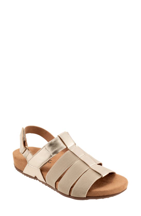 Shop Softwalk ® Burnaby Slingback Sandal In Champagne