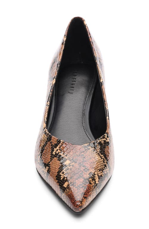 Sanctuary Padma Pointed Toe Pump In Brown Multi