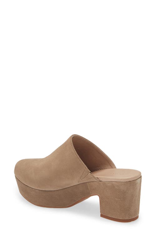 Chocolat Blu Ginette Platform Clog In Taupe Suede