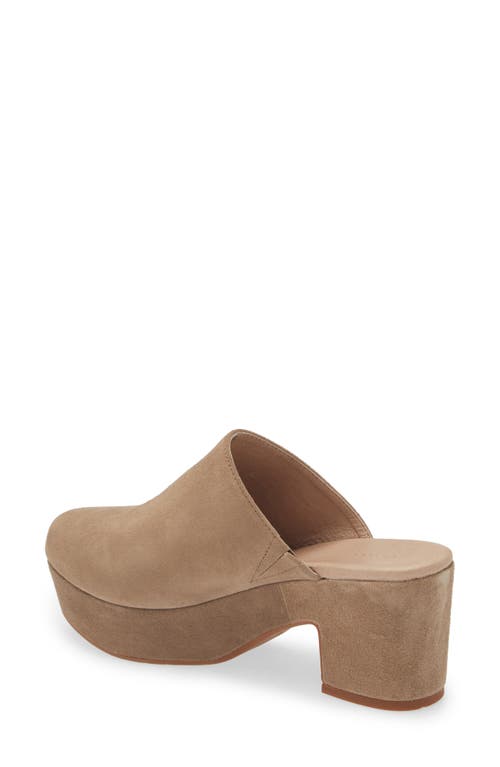 Shop Chocolat Blu Ginette Platform Clog In Taupe Suede