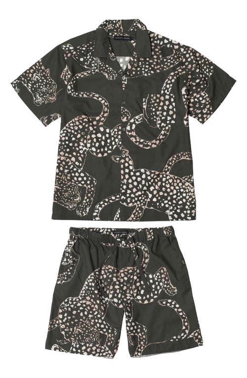 Desmond & Dempsey Jag Printed Cotton Pyjama Set In Green