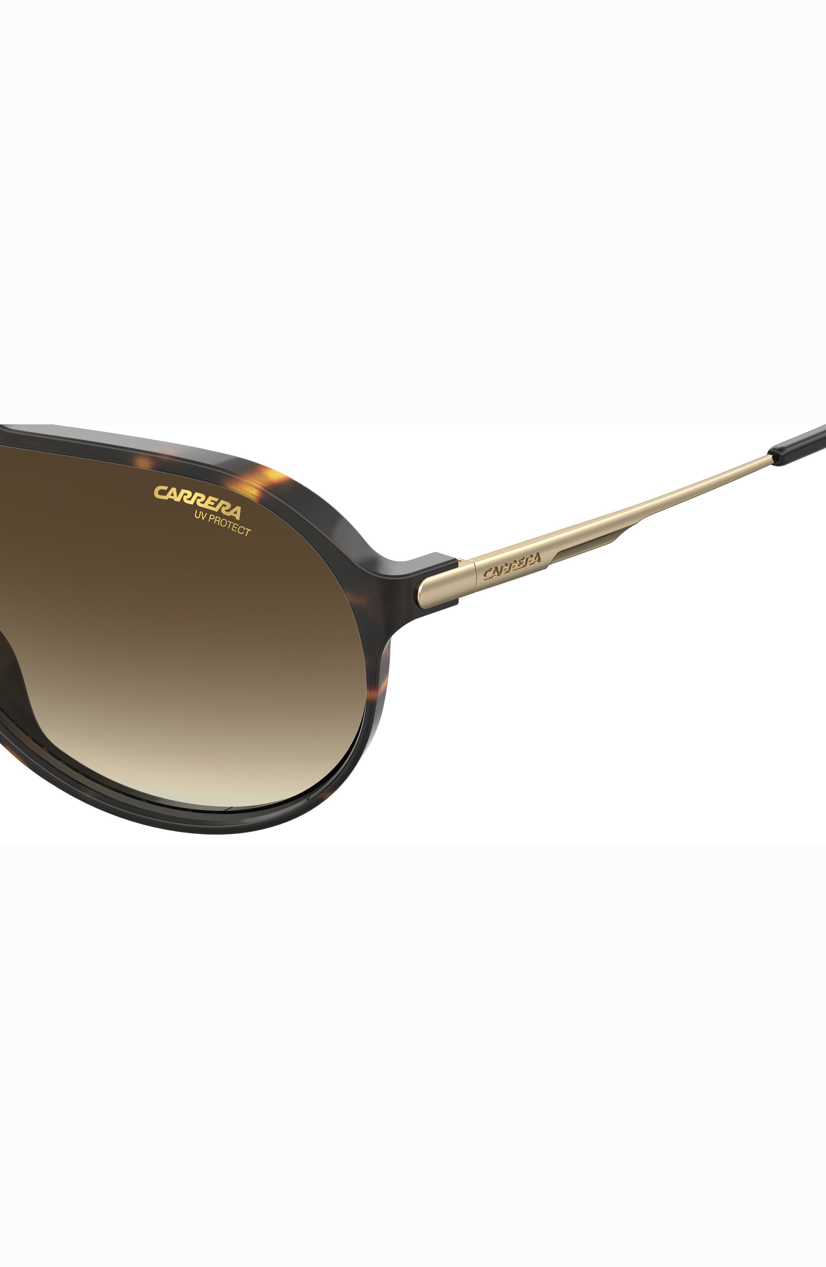 carrera sunnies
