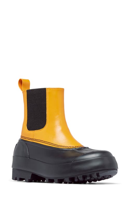 Shop Sorel X Proenza Schouler Waterproof Boot In Golden Ochre