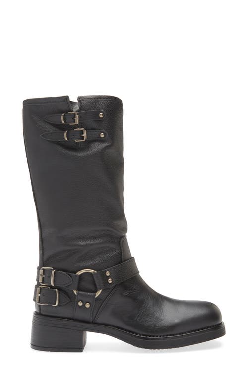 Steve Madden Astor Knee High Moto Boot In Black