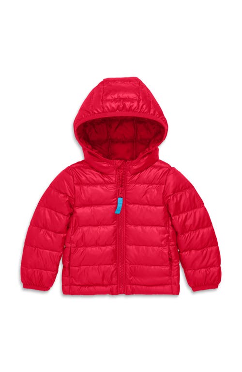 Shop Primary Baby Lightweight Puffer Jacket In Cherry