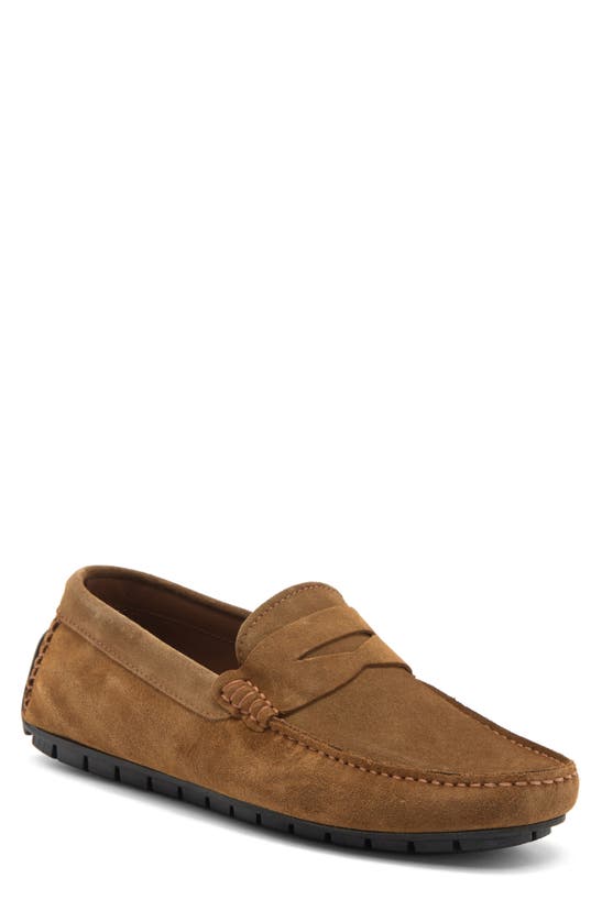 Shop To Boot New York Milford Penny Loafer In Suede Sigaro