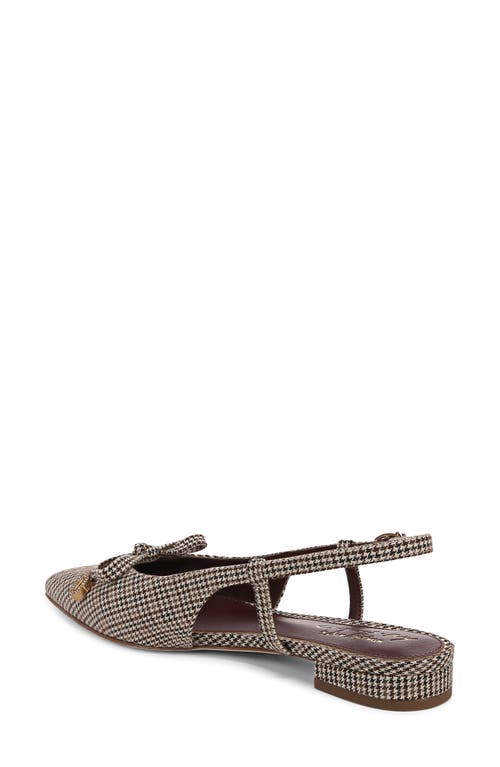 Shop Circus Ny By Sam Edelman Lafayette Pointed Toe Slingback Sandal In Black Natural Multi