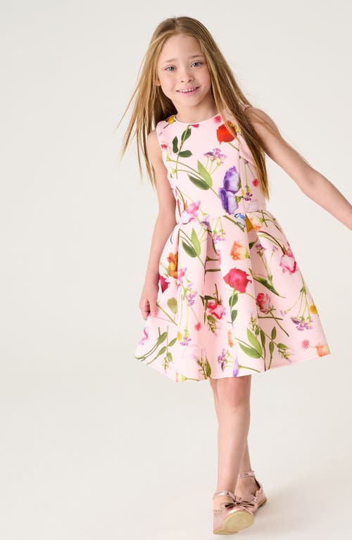 Shop Ted Baker Baker By  Kids' Rose Print Scuba Dress In Pink