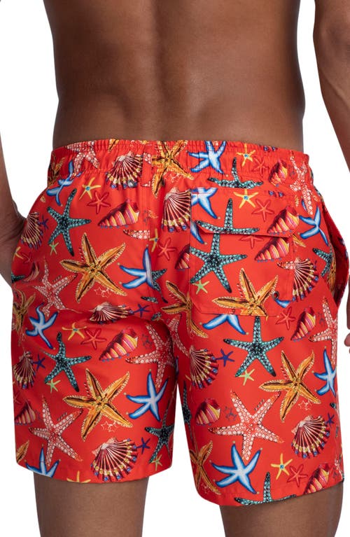 Shop Bugatchi Starfish Shell Print Swim Trunks In Tangerine