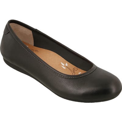 Taos Rascal Flat