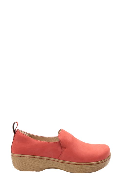Alegria By Pg Lite Orygin Tulip Slip-on Shoe In Tulip