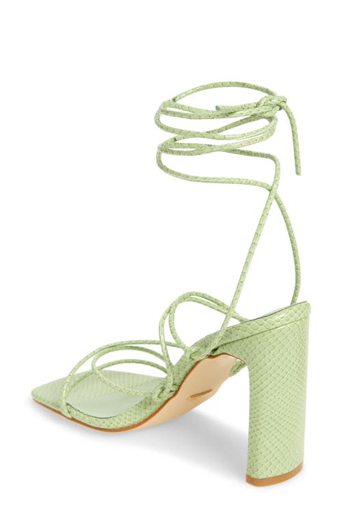 Billini Hardy Strappy Sandal In Apple Scale