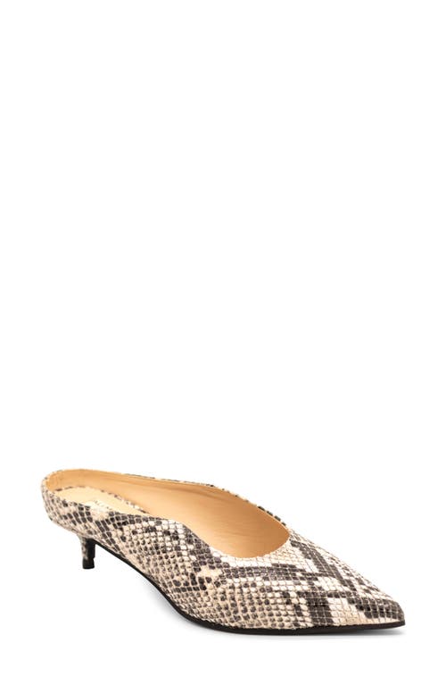 Butter Shoes x Ali MacGraw Siren Mule in Natural