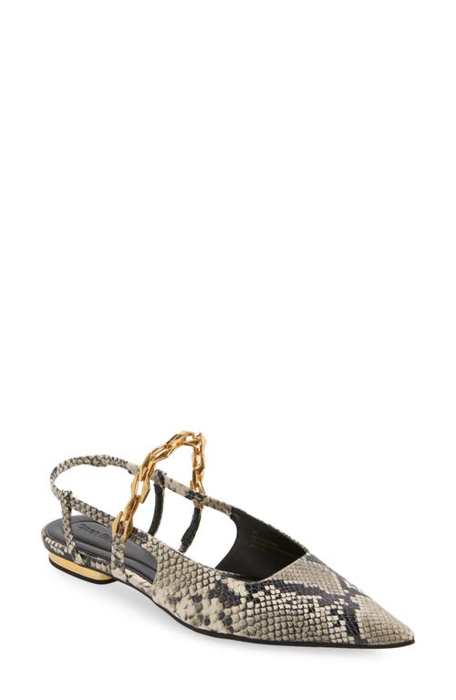 Shop Open Edit Olympia Snakeskin Embossed Slingback Flat In Black-white Snake