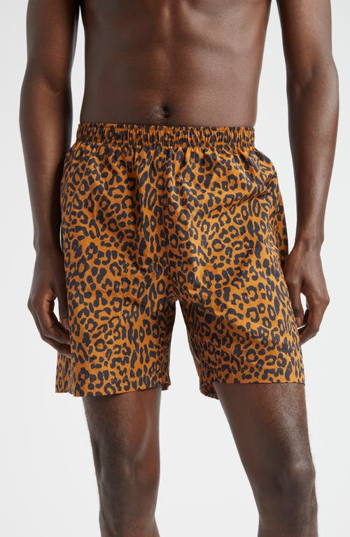 Shop Noah Leopard Print Nylon Swim Trunks