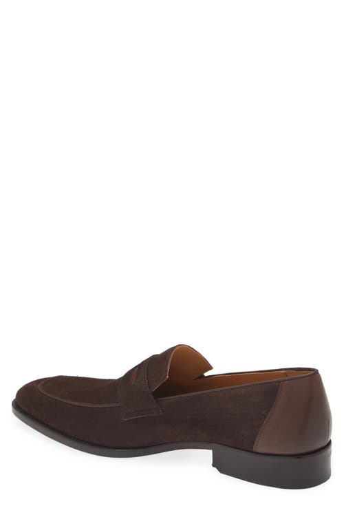 Shop Mezlan Galeno Penny Loafer In Brown