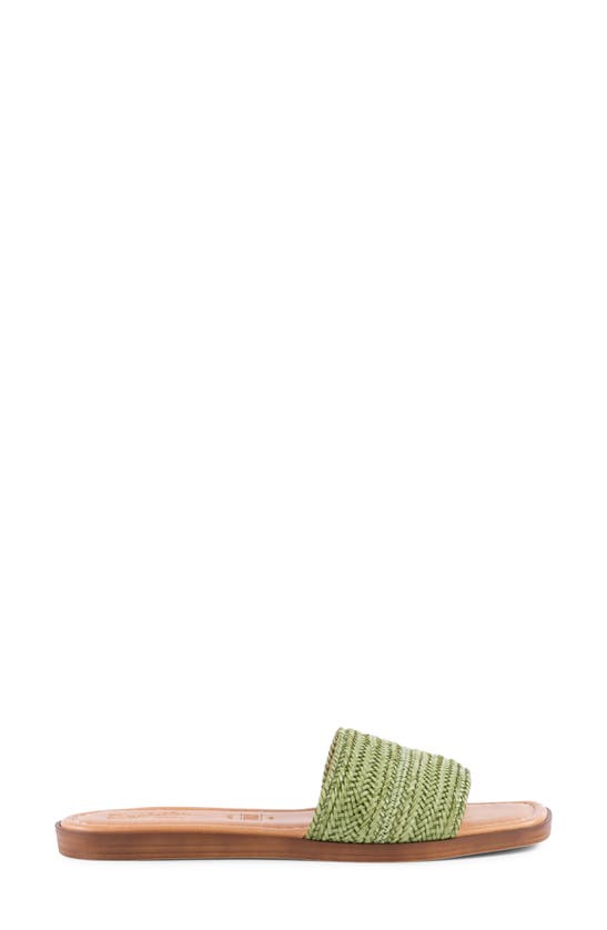 Seychelles Palms Perfection Slide Sandal In Green