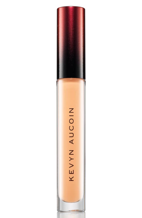 Kevyn Aucoin Beauty The Etherealist Super Natural Concealer in Ec Corrector