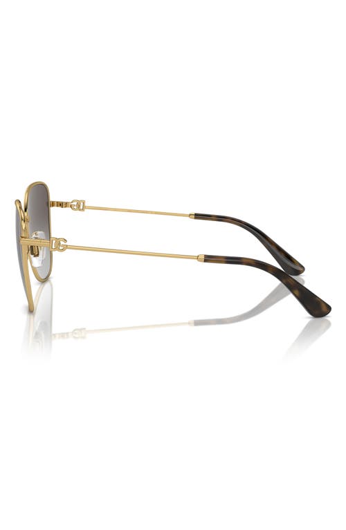 Dolce & Gabbana Dolce&gabbana 56mm Gradient Butterfly Sunglasses In Gold/black Grey