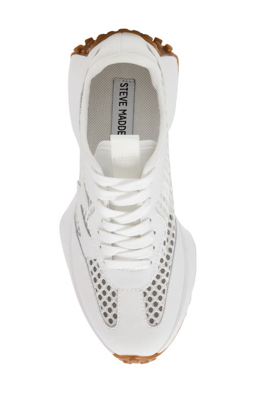 Shop Steve Madden Campo Sneaker In White Mesh
