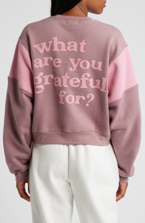 THE MAYFAIR GROUP THE MAYFAIR GROUP START WITH GRATITUDE SWEATSHIRT