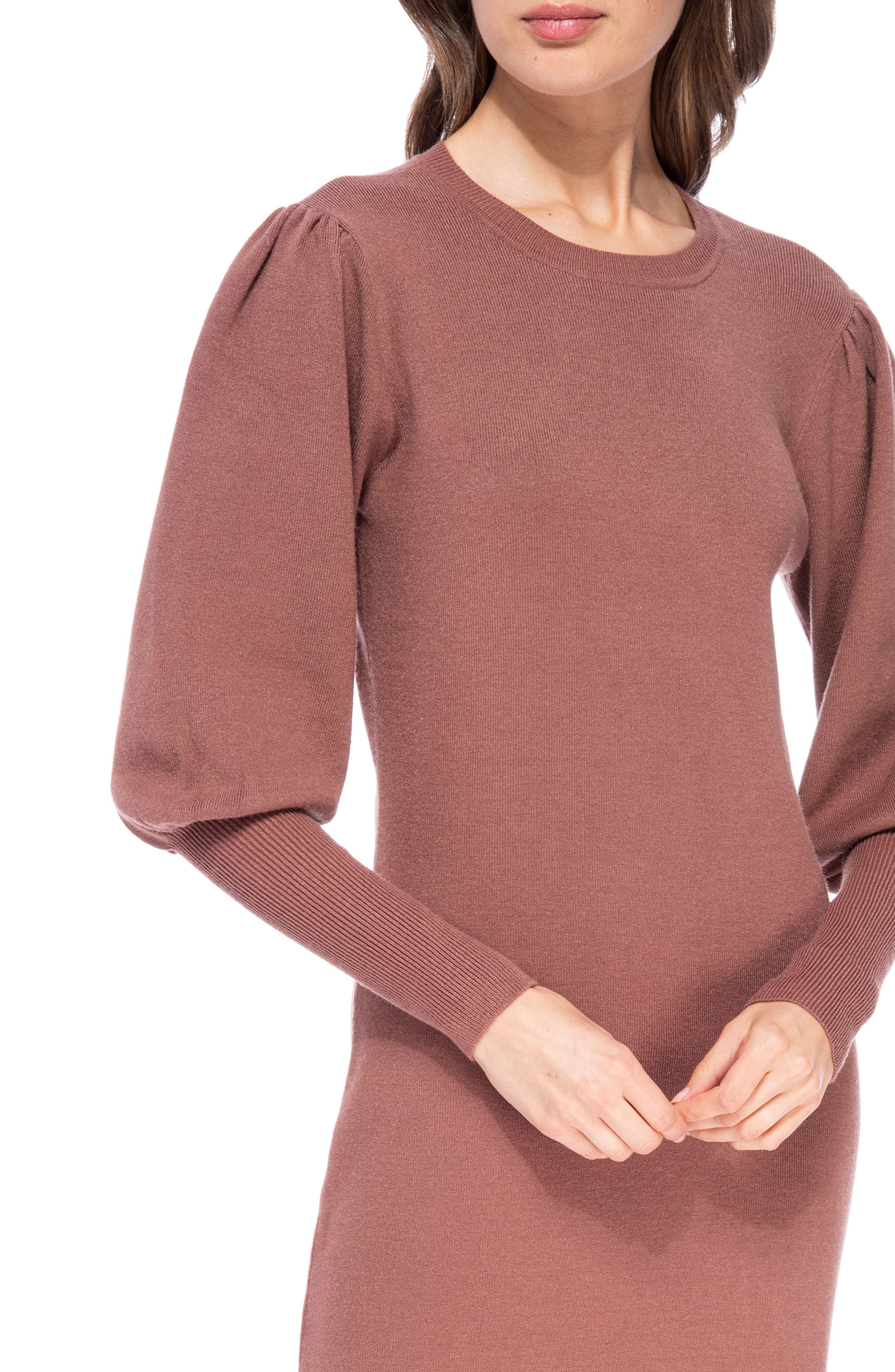 Bobeau Blouson Sleeve Sweater Dress 